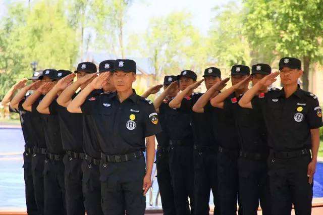 大型活動，臨時安保